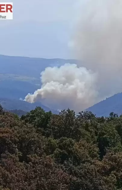 Bursa'da Orman Yangını Kontrol Altına Alınıyor