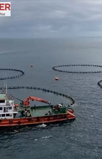 Trabzon'un su ürünleri ihracatı rekor seviyeye ulaştı, sektörde büyük yükseliş yaşanıyor.