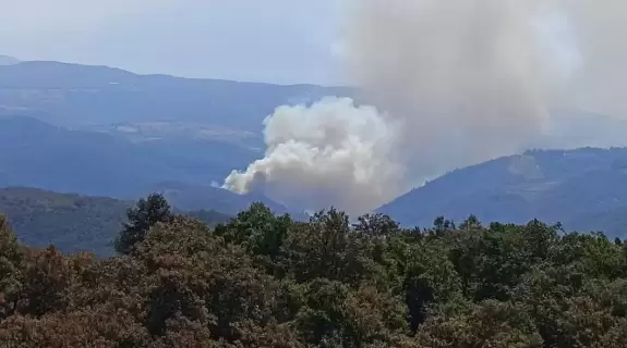 Bursa'da Orman Yangını Kontrol Altına Alınıyor