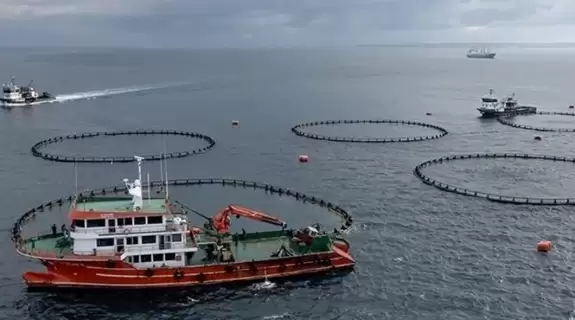 Trabzon'un su ürünleri ihracatı rekor seviyeye ulaştı, sektörde büyük yükseliş yaşanıyor.