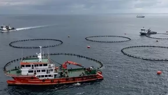 Varsayılan resim bulunamadı.